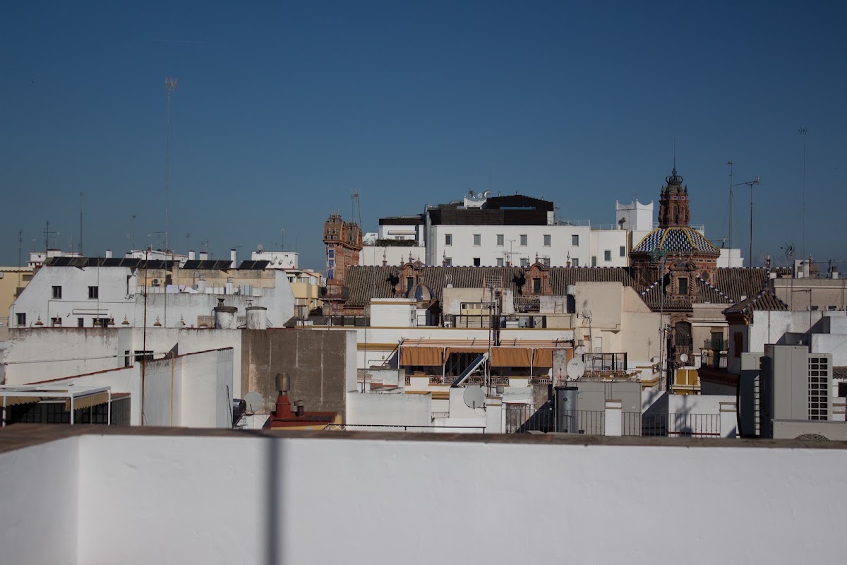 Black Swan Hostel Sevilla